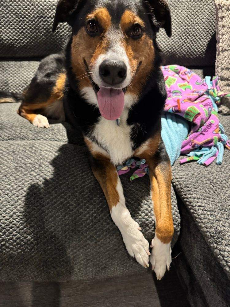 Smiling Riley!