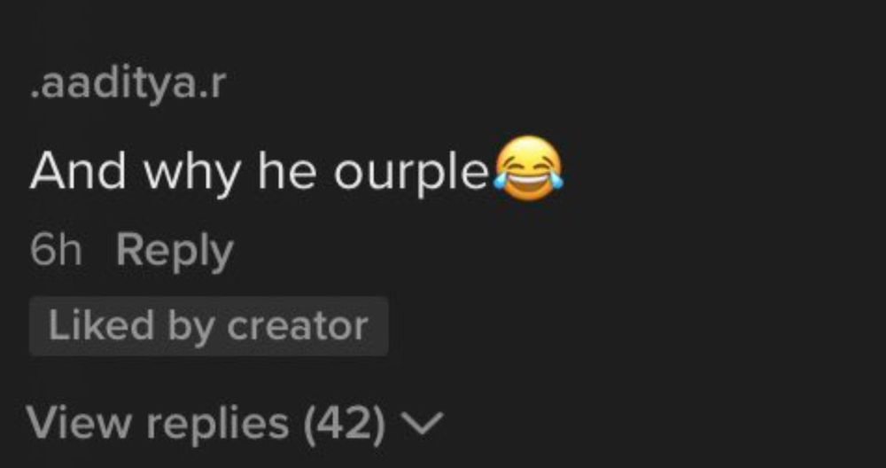 photo of the famous tiktok screenshot which is a comment that reads: And why we ourple 😂 (purple misspelt), comedy gold