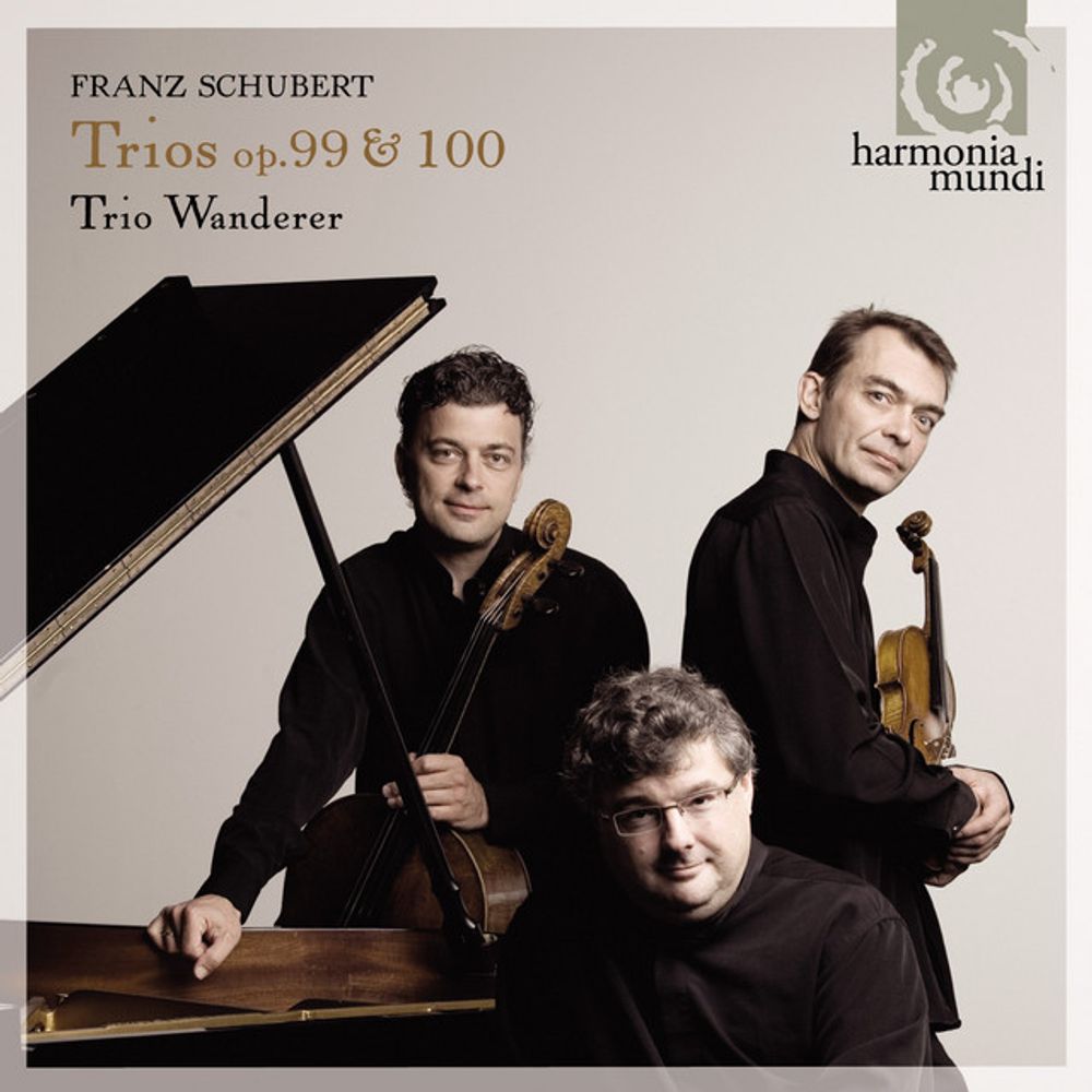 Piano Trio No. 1 in B-Flat Major, D. 898: II. Andante un poco mosso