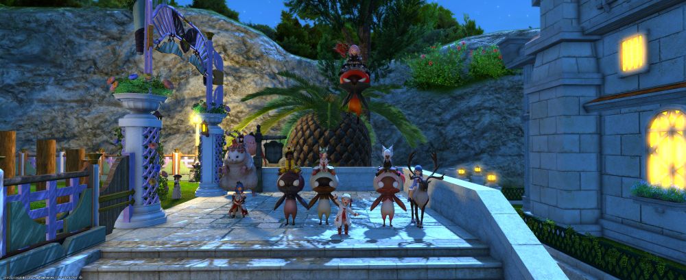 なっちゃん🏠前
無人島開拓しないとなぁ・・と常日頃思う