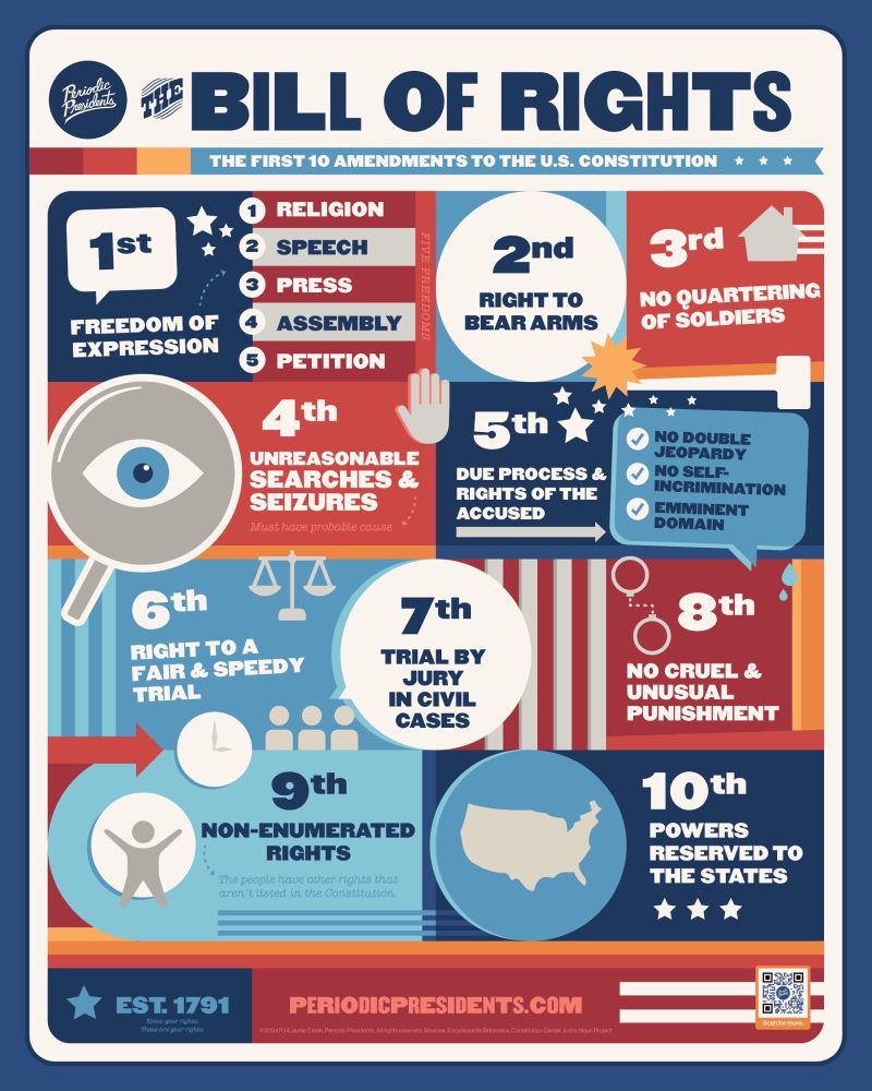 Bill of Rights infographic poster 
