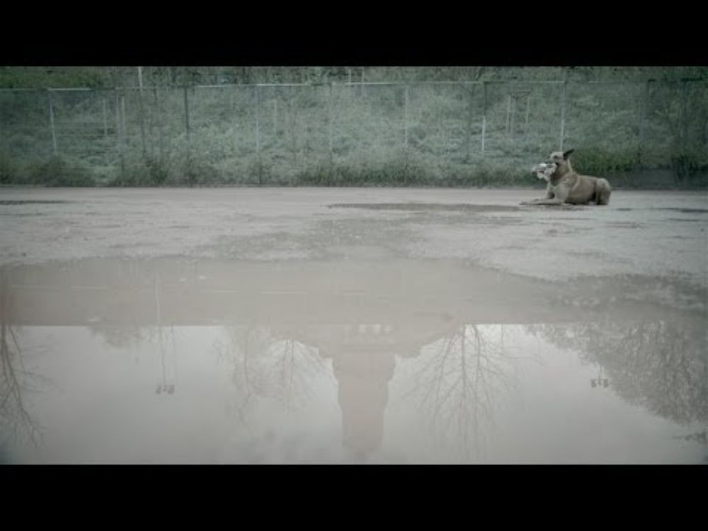 Borussia Dortmund verbindet. Gemeinsam gegen Rassismus.