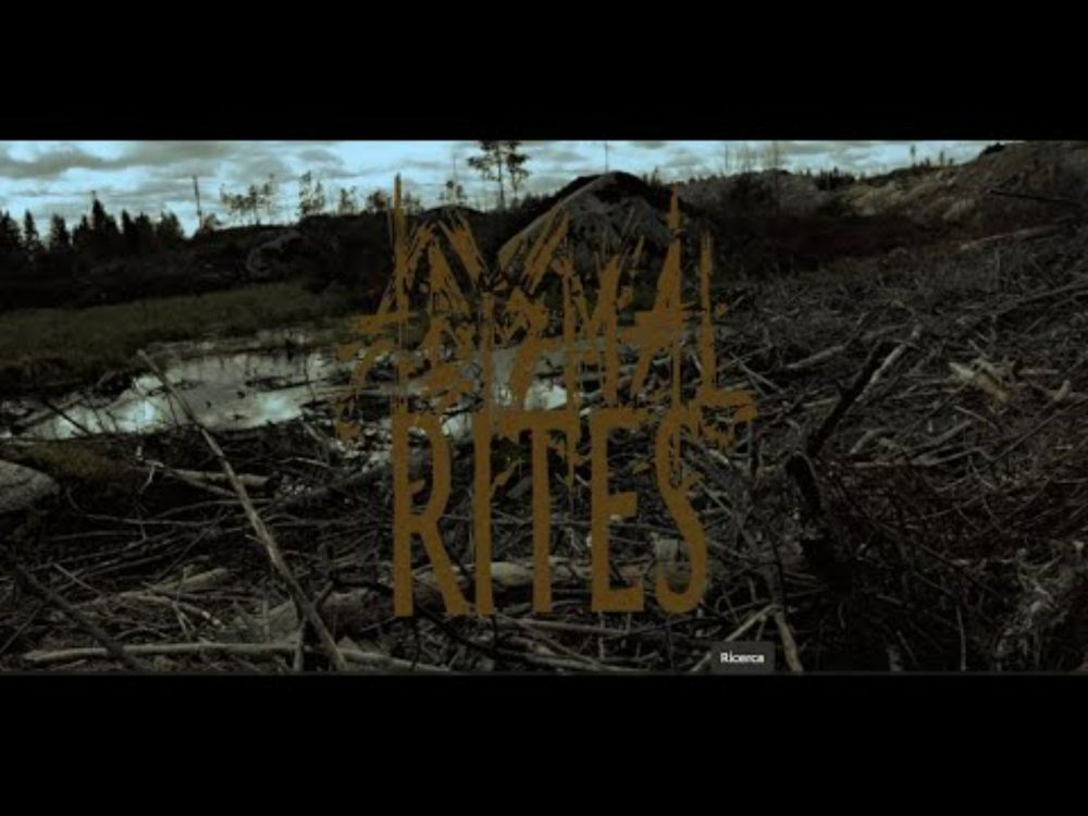 ABYSMAL RITES - The Zone [Music Video]