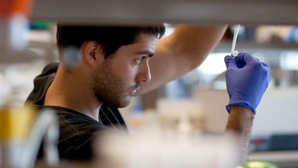 The Pew Latin American Fellows Program in the Biomedical Sciences provides support for young scientists from Latin America to receive postdoctoral training in the United States. The program gives thes...
