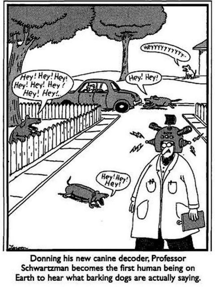 far side by gary larson. caption: "donning his new canine decoder, prof. schwartzman becomes the first human being on earth to hear what barking dogs are actually saying." a portly man in a labcoat w a clipboard and scifi helmet walks down a street of dogs. a dachsund barks HEY HEY HEY. a fenced dog also barks HEY HEY HEY HEY HEY HEY. a dog chasing a car barks HEy! HEY! a distant dog howls, Heeeeeeeeyyyyyyyyy