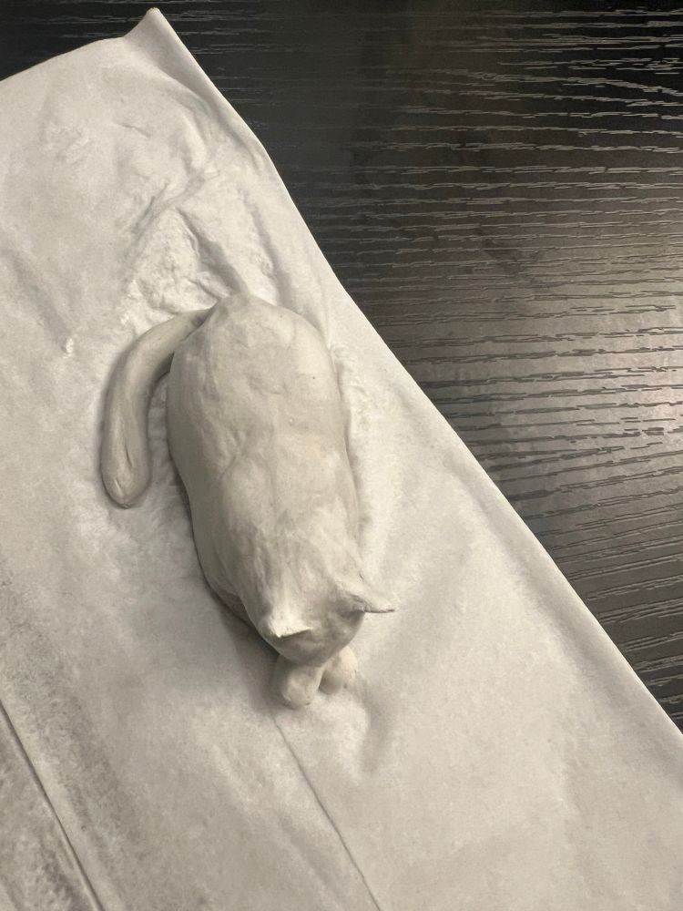 A sculpture of a cat in modeling clay sitting on a tissue from above