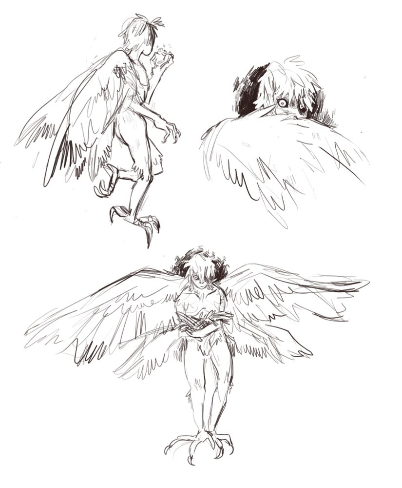 Three sketches of Kree, a harpy man. One has him holding a shiny pebble, another has him looking eerily over his wing at the viewer, and the last shows him with his wings expanded while holding a bunch of sticks.
