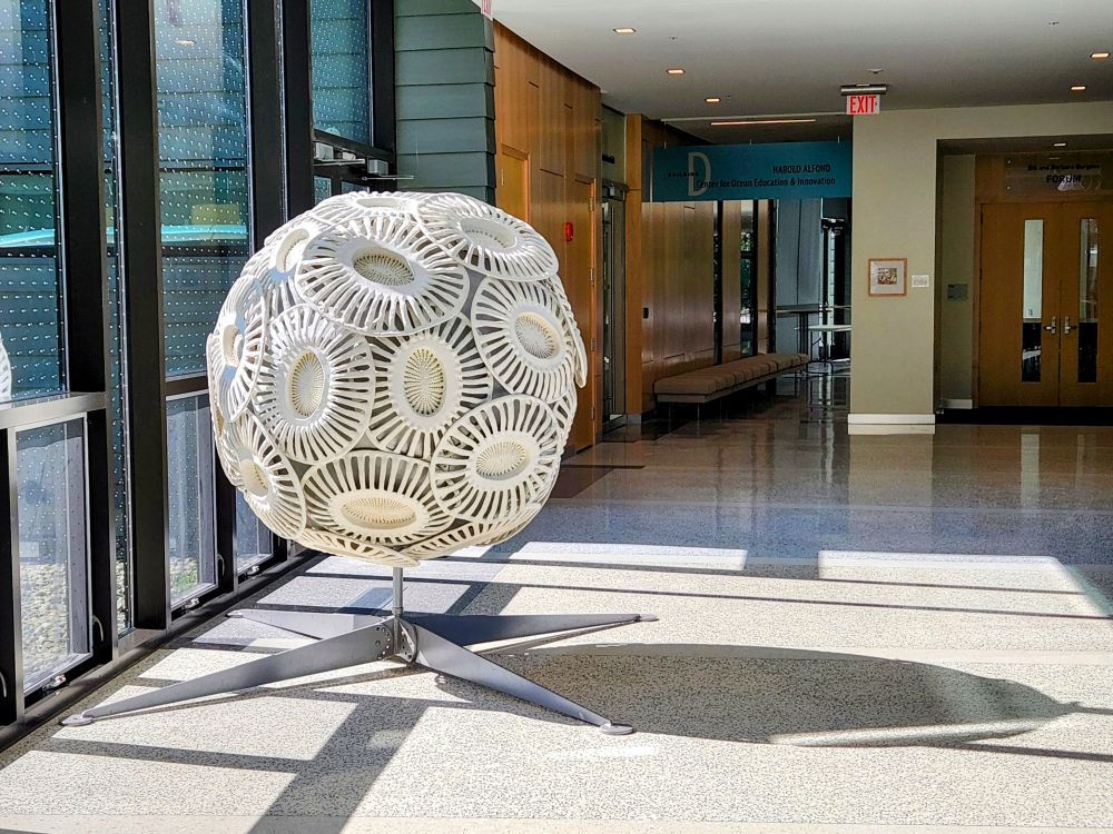 Giant sculpture of a coccolithophore alga in a hallway at Bigelow Laboratory for Ocean Sciences
