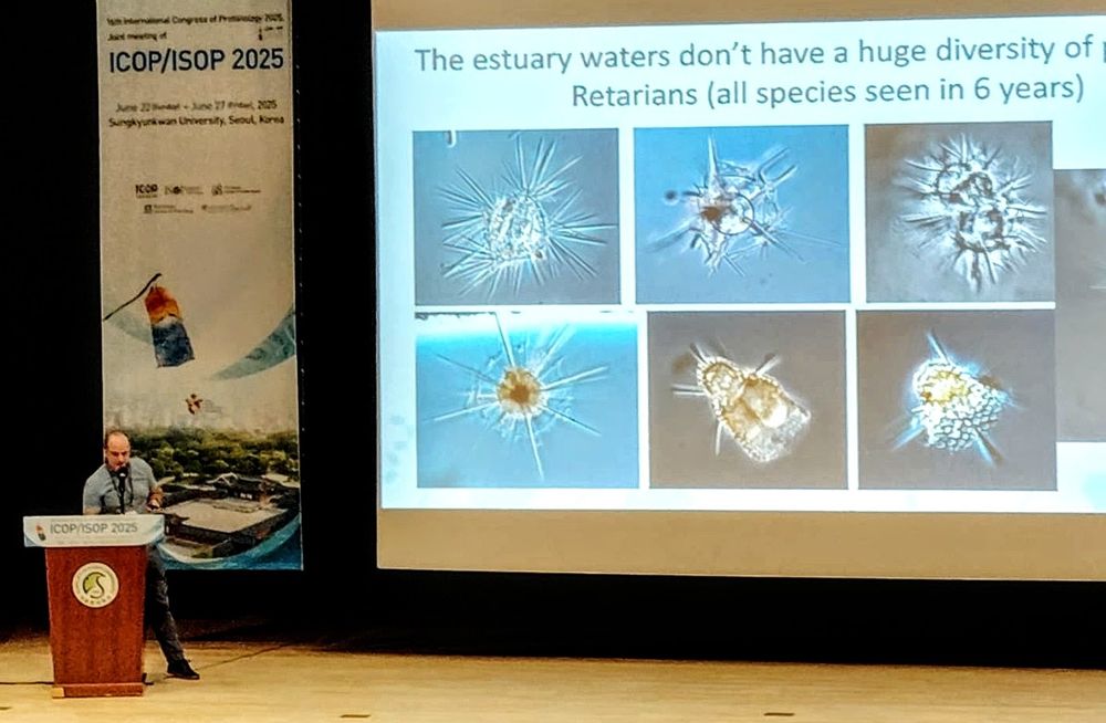 Me talking about radiolarian bloom cycles in Maine!