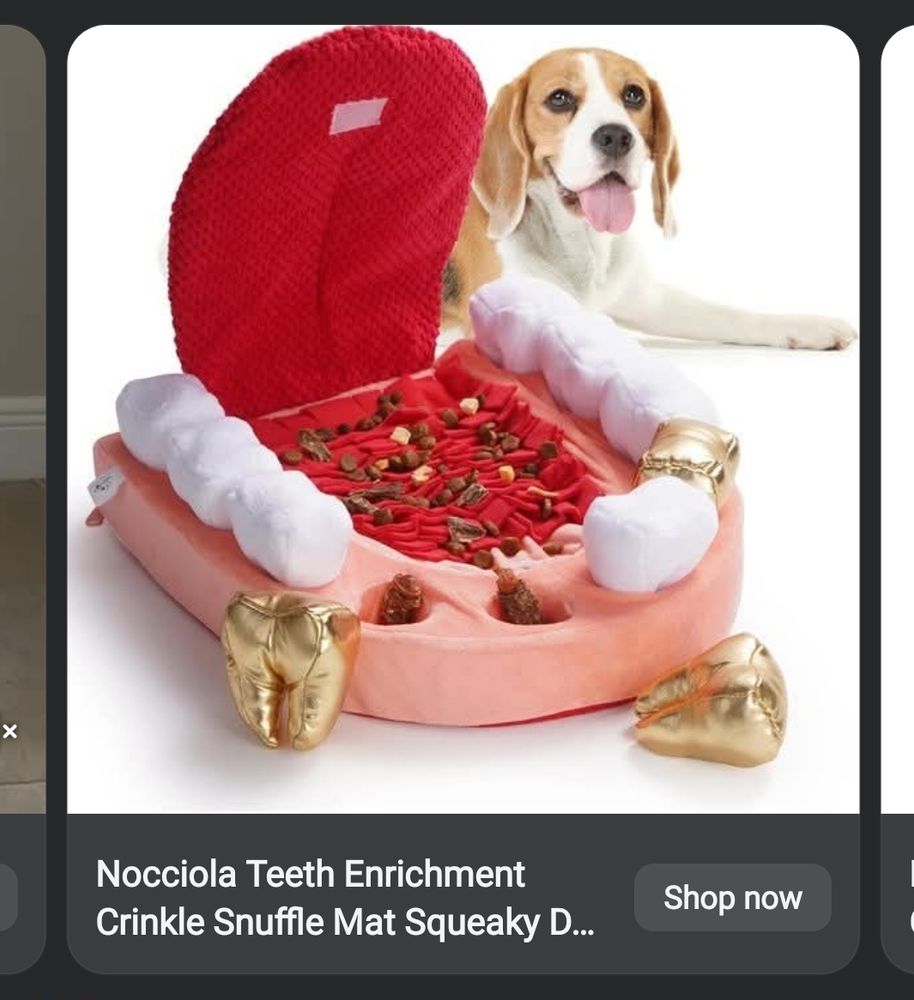 Image from a Facebook ad in dark mode, shows the "Nicciola Teeth Enrichment Crunkle Snuffle Mat Squeaky D..." with a happy looking beagle resting behind it. The shuffle mat looks like a giant lower part of a mouth, like an anatomical model with gums that have soft teeth blushes stuffed in, a few are gold colored and are pulled out revealing space for treated. There is a tongue standing up and revealing underneath it an area of ruffly ridges that contains more treats.
Chaotic, puzzling, ultimately wholesome, maybe a bit disturbing.