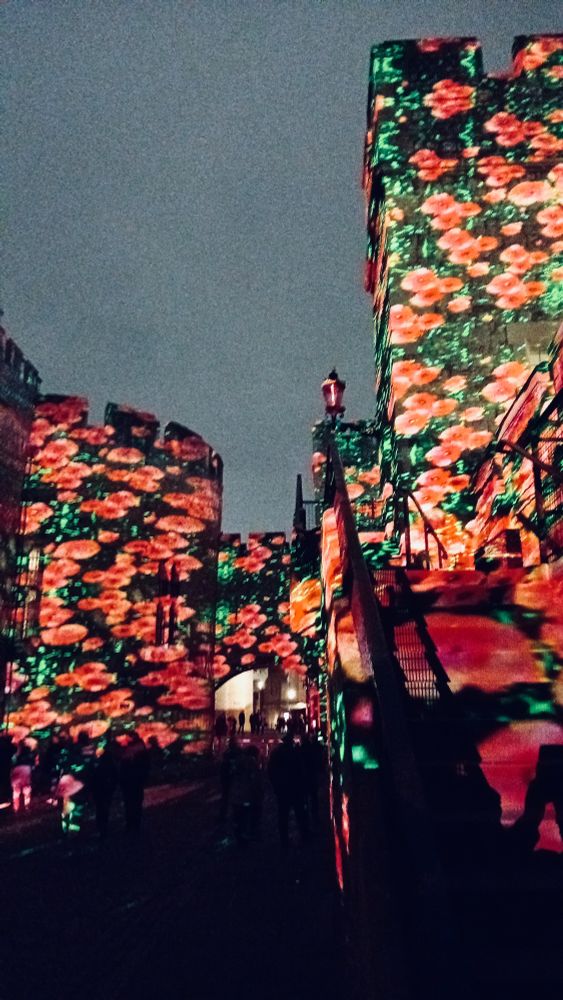 Projection of bright red poppies on the walls of the Tower of London, Poppy Fields at the Tower 2024