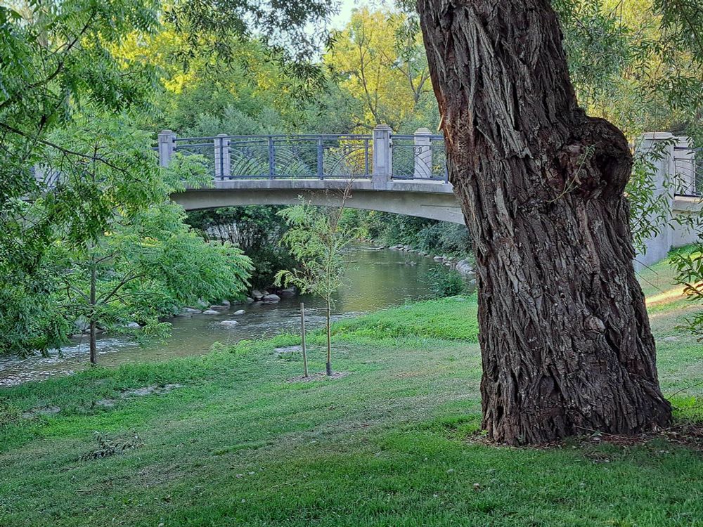 A bridge spans the Oshawa Creek in a park. There are trees along each side of the creek, including several large ash trees.