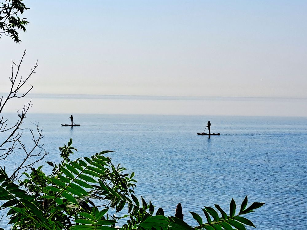 At the bottom of the photo are ferns growing on the banks of the lake. Above them, the lake is very calm, and there are 2 people on paddleboards. The sky is a very pale blue.