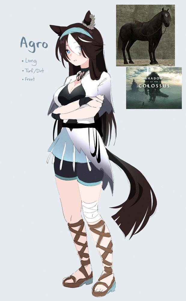 Agro, from Shadow of the Colossus. I turned her into an umamusume.