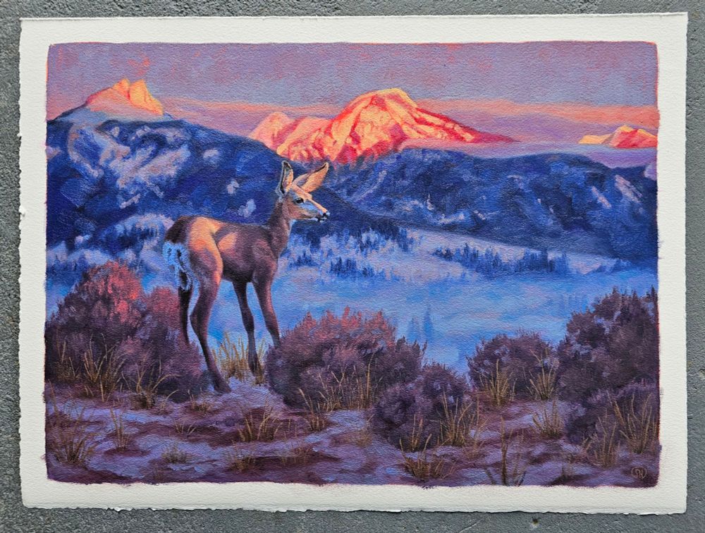 An oil painting of a mule deer doe standing between some sagebrush with alpenglow mountains in the background 