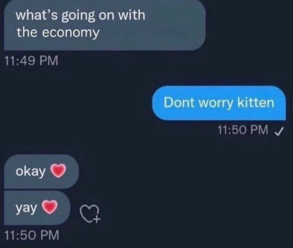 “Don’t worry kitten” meme