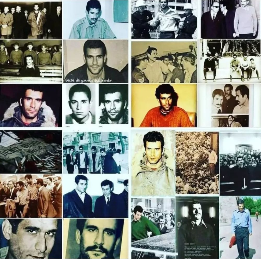 Üç fidan