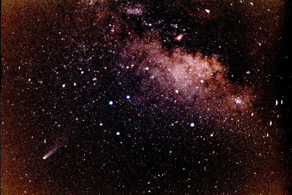 A wide-angle image of comet Halley near the center of the Milky Way.