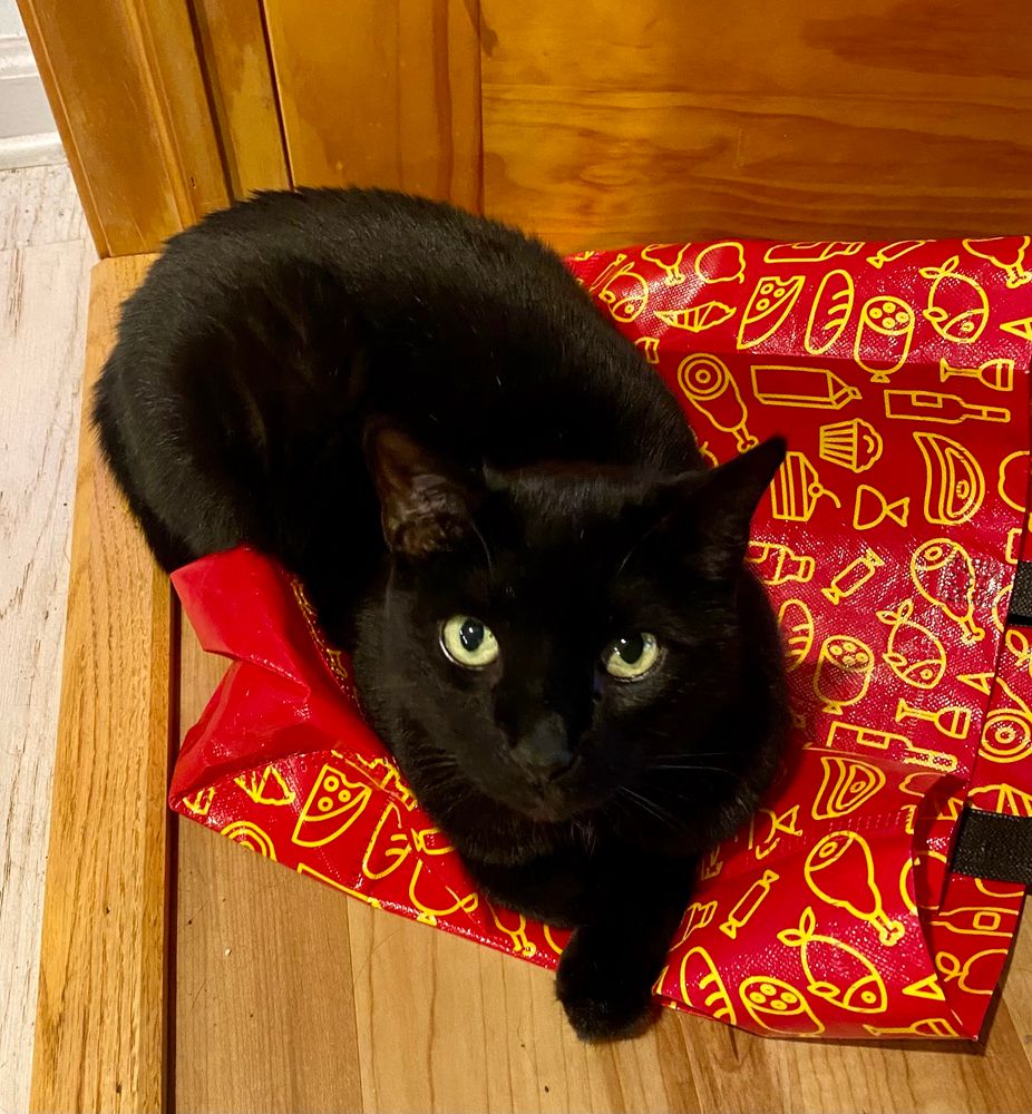 A very black cat on a red shopping bag with yellow line print looks at you with gold-green eyes.