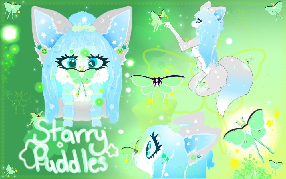 A photo of three different doodles of my fursona, Starry. In each doodle Starry is interacting with a Luna moth! 