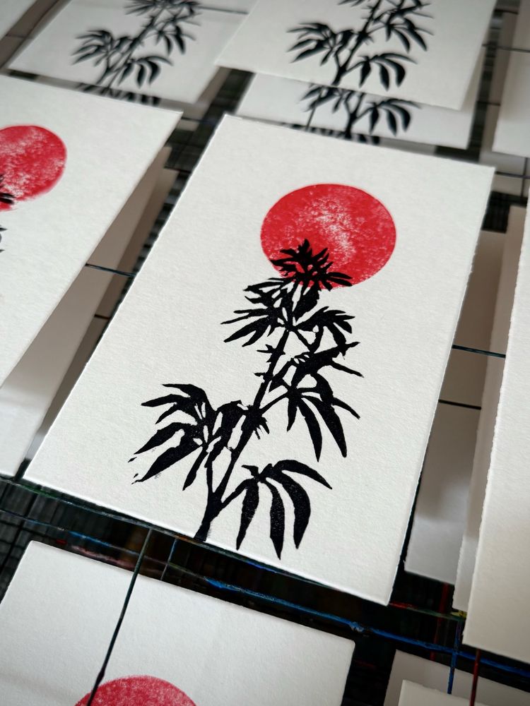 A photograph of freshly printed postcards laying in a stack dryer. The cards show the black Silhouette of a Cannabis plant before a red sunlike Circle on white background. The picture has a minimal Zen-like Style and was printed using handcarved rubber stamps.