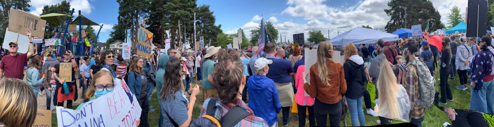 Panorama picture of the protest today