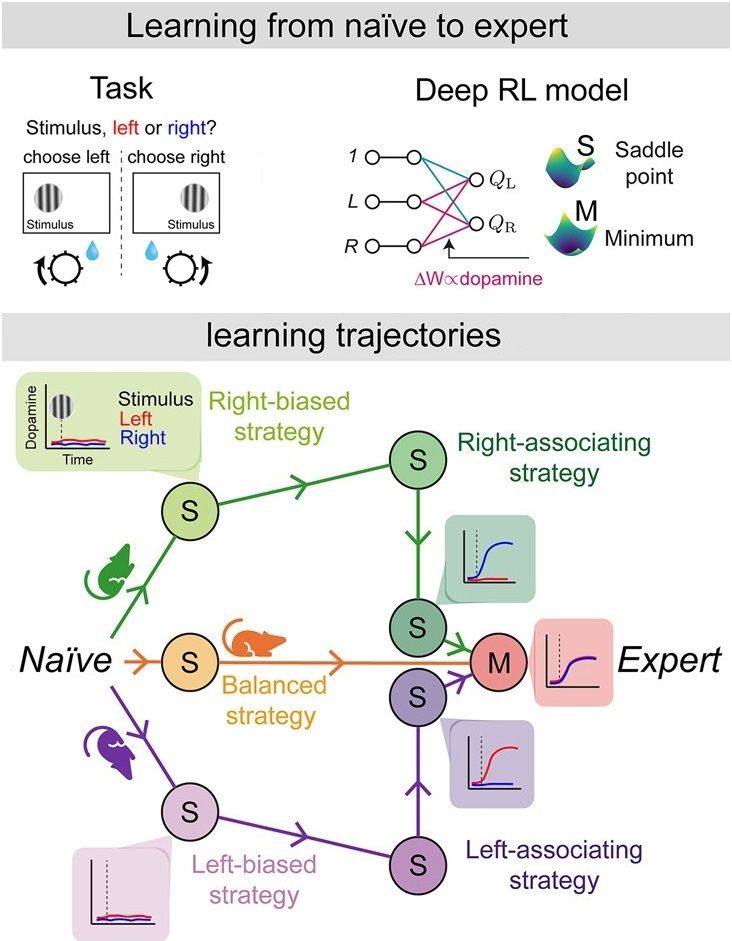 Learning trajectories