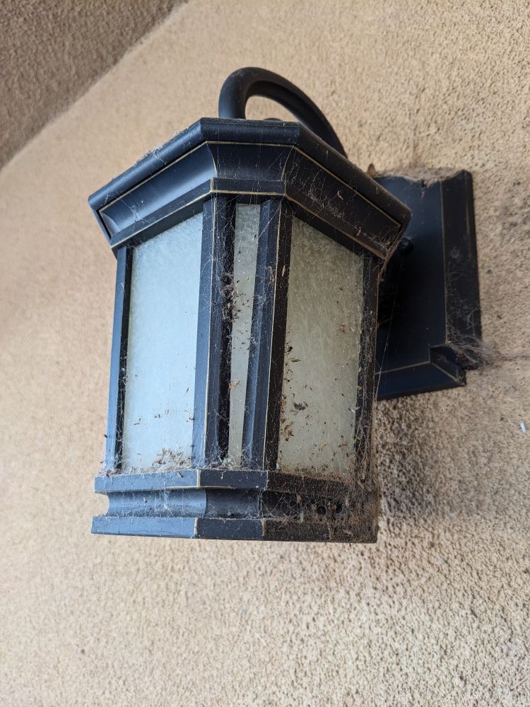 An exterior light fixture mounted on a tan stucco wall is covered with an unsightly mess of spider webs, as well as assorted small insects and detritus stuck in those webs