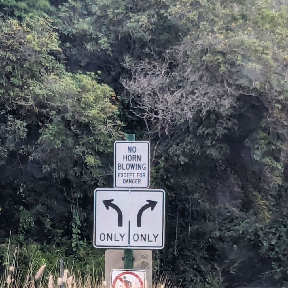 Black and white traffic sign says, "NO HORN BLOWING EXCEPT FOR DANGER" followed by a traffic sign for left turn only/right turn only.