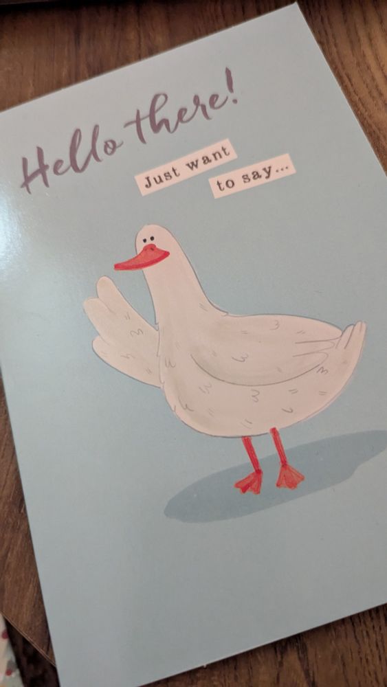 Greetings card. Text - hello there, just want to say. With a cartoon white duck (or goose!!!) waving
