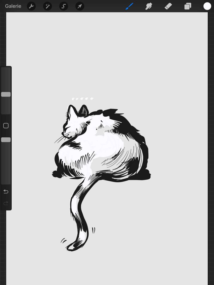Un dessin en noir et blanc réalisé sur tablette graphique de mon chat endormi, qui me tourne le dos. 