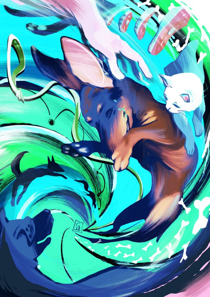 Une illustration représentant un petit teckel endormi et aspiré par une spirale colorée, entouré par les choses qu'il aime. 