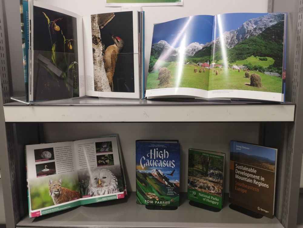 Display of books at UCL School of Slavonic and East European Studies Library, to mark Green Libraries Week 2025. A close-up shot of two shelves of books. Some of the books are displayed open, showing colour photographs of landscapes, birds and flora and fauna. All of the books have a connection to environmental issues in Central and Eastern Europe.