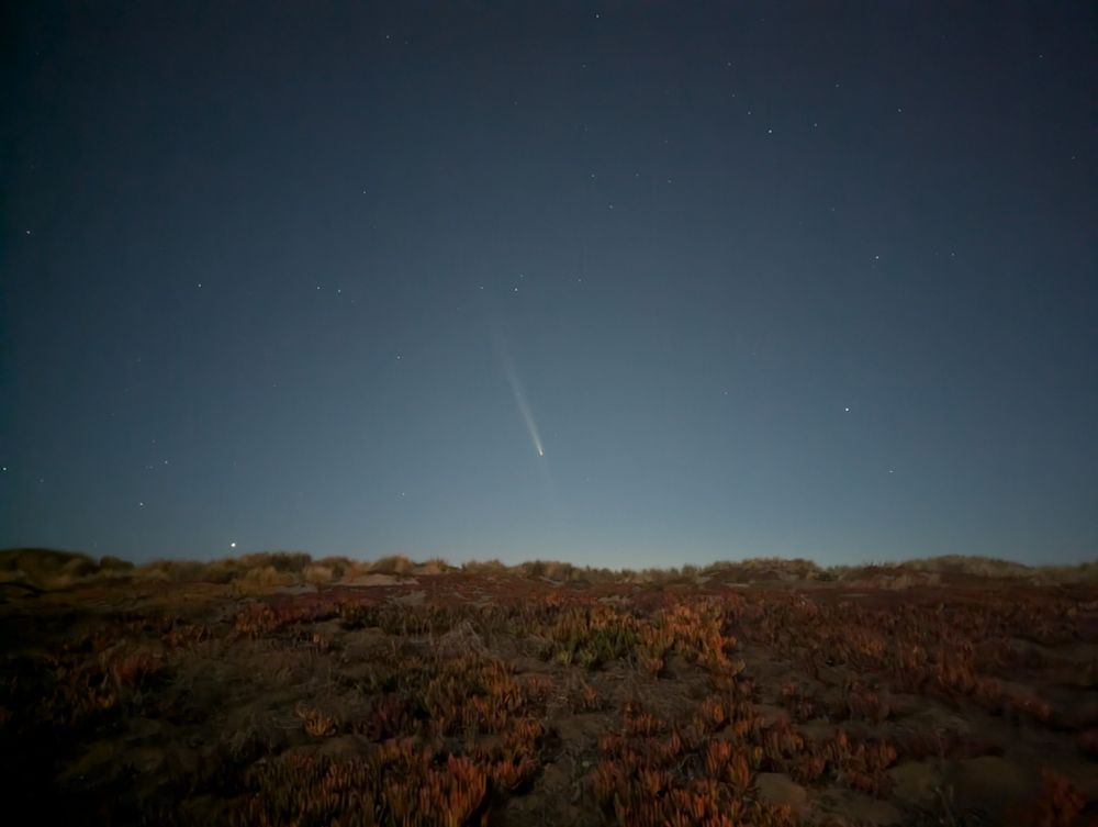 Comet seen over ice plant covered dunes in San Francisco. Taken on Ocean Beach Park facing west