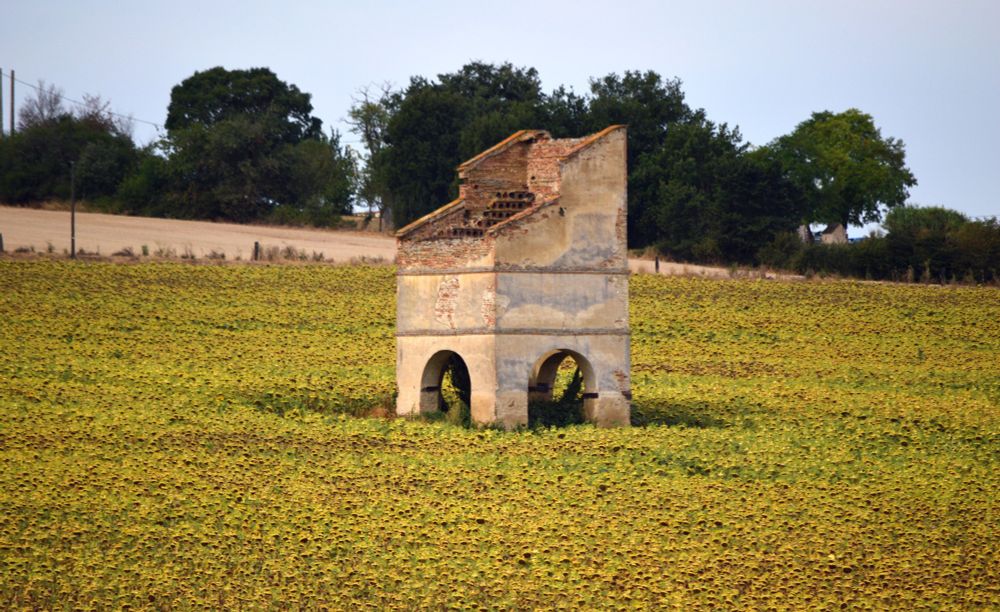Pigeonnier au milieu d'un champ de tournesols à flanc de coteau