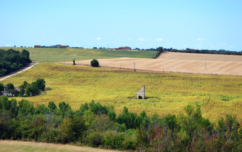 Pigeonnier au milieu d'un champ de tournesols à flanc de coteau
