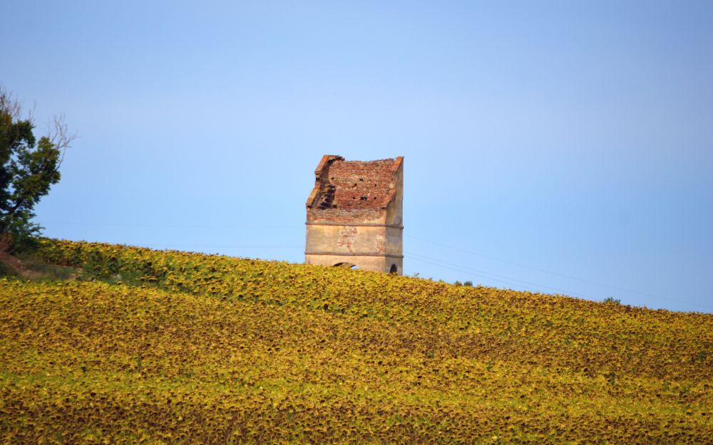 Pigeonnier au milieu d'un champ de tournesols à flanc de coteau