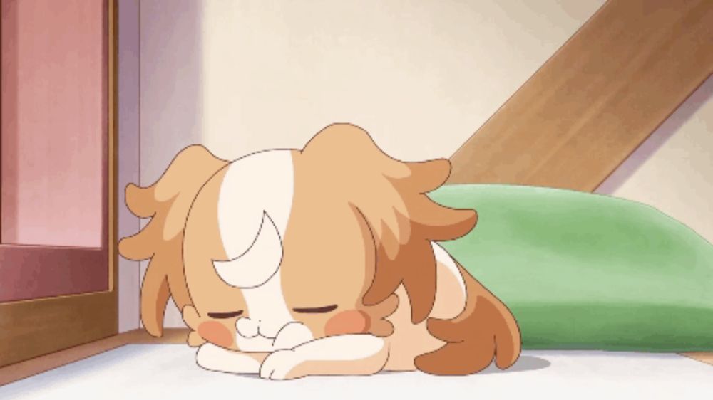 a brown and white dog is sleeping on the floor