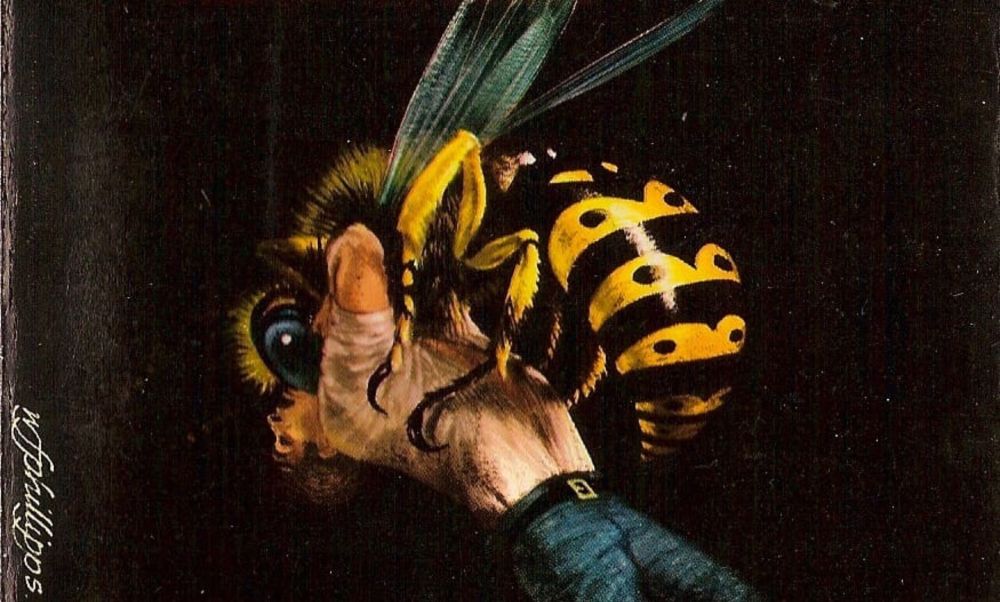 Giant Bees and Wasps