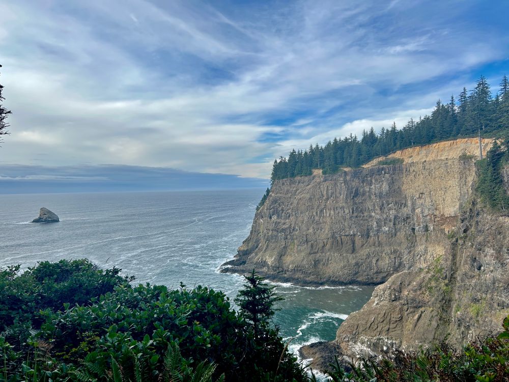 The Oregon Coast with greenery in the foreground and cliffs and ocean in the distance 