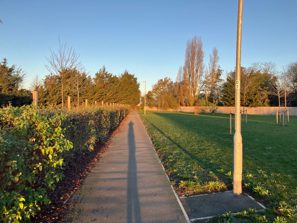 Casting long shadows on the way out of town 
