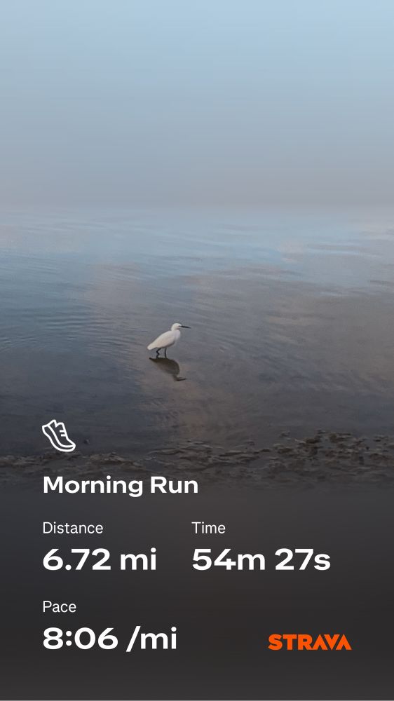 An egret(?) patrolling the low tide looking for breakfast, overlaid with nerdy run stats