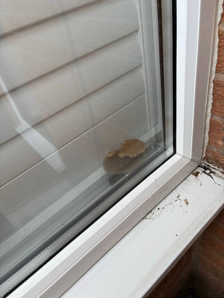 Photo of half a pancake posted through window shutters 