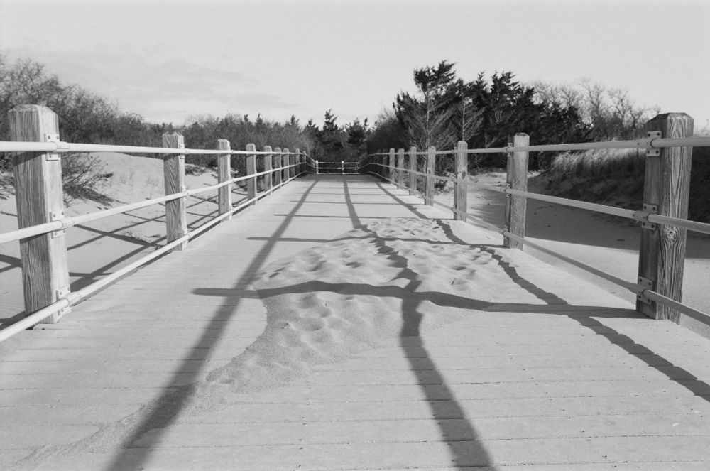 Black and white photo of a boardwalk from a low point of view. Boardwalk is lined with metal rails and wooden pillars. Shadows from the railing on the right run perpincuar to the view. In the background short scrub pines.