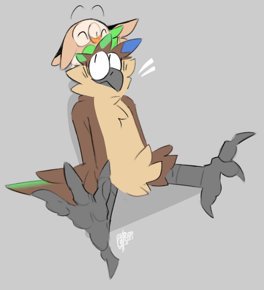 Sill, an anthropomorphic elf owl with green highlights sitting down while looking up at a Rowlet.