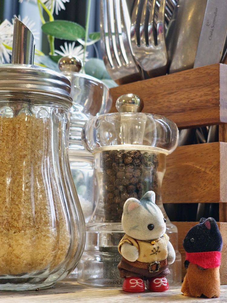 Two Sylvanian Families babies on a cafe table in front of a collection of condiments including a wooden slatted pot of cutlery, vase with fake flowers, a glass sugar pourer and glass salt and pepper shakers. In the middle roght of the shotnis Pickle, a grey striped cat baby looking at their companion with a paw raised as though waving it up and down. On the right is a tiny cradled black cat baby, staring at the glassware beyond Pickle. It's Reggie! 