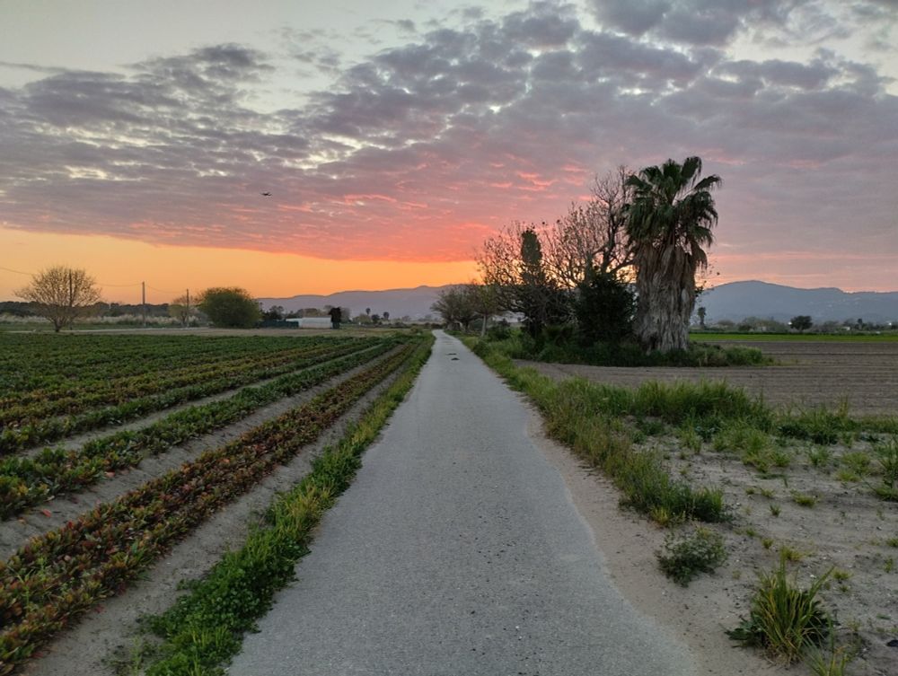 Parc Agrari del Baix Llobregat - Gavà Mar 
