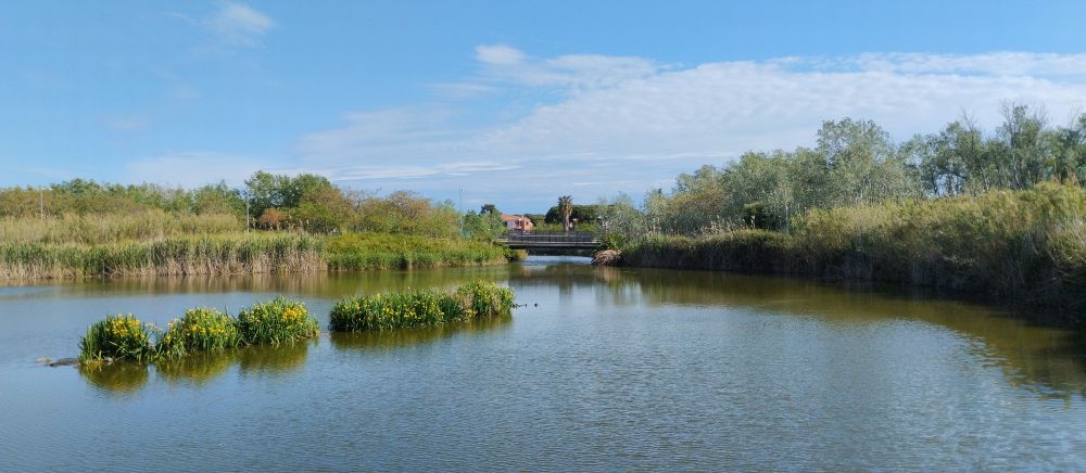 L'Olla del Rei