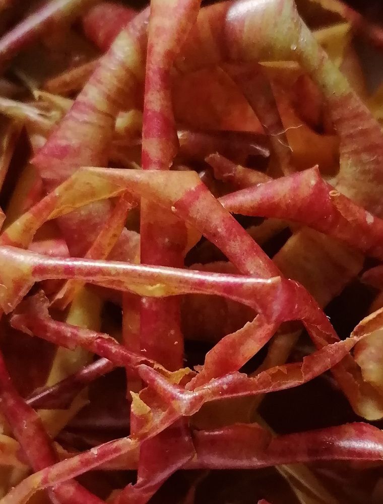 fruitpeels 