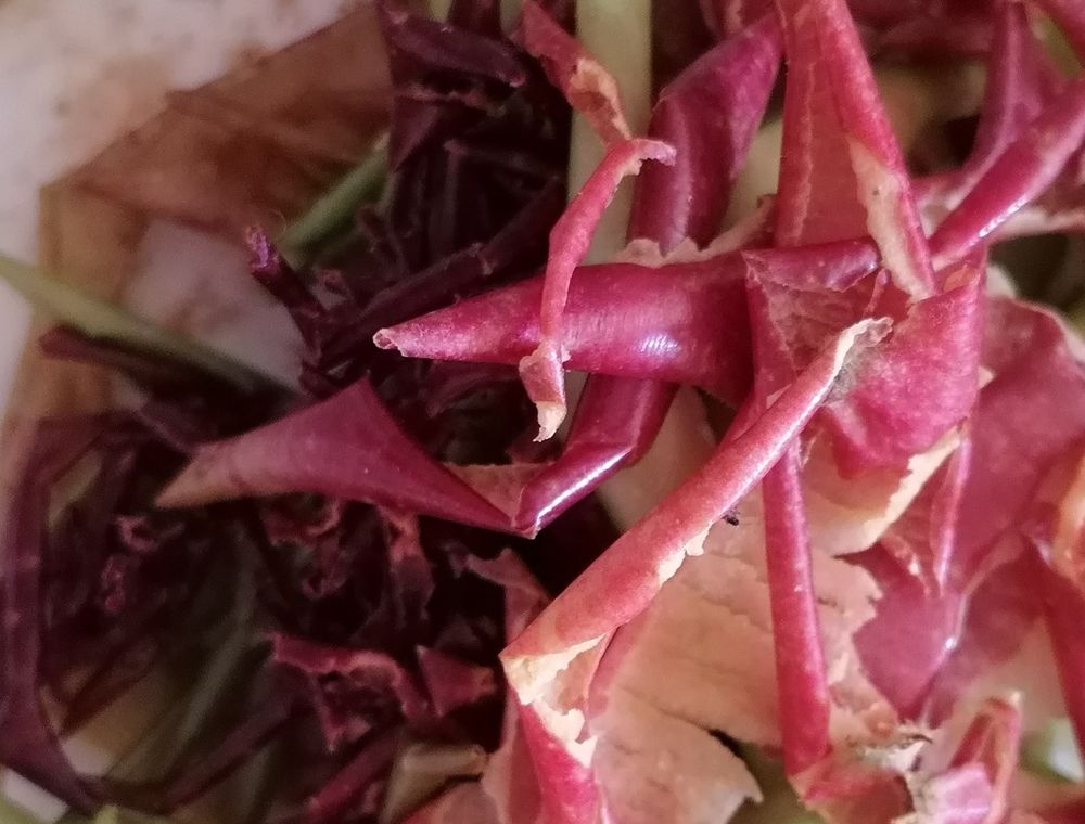 fruitpeels 
